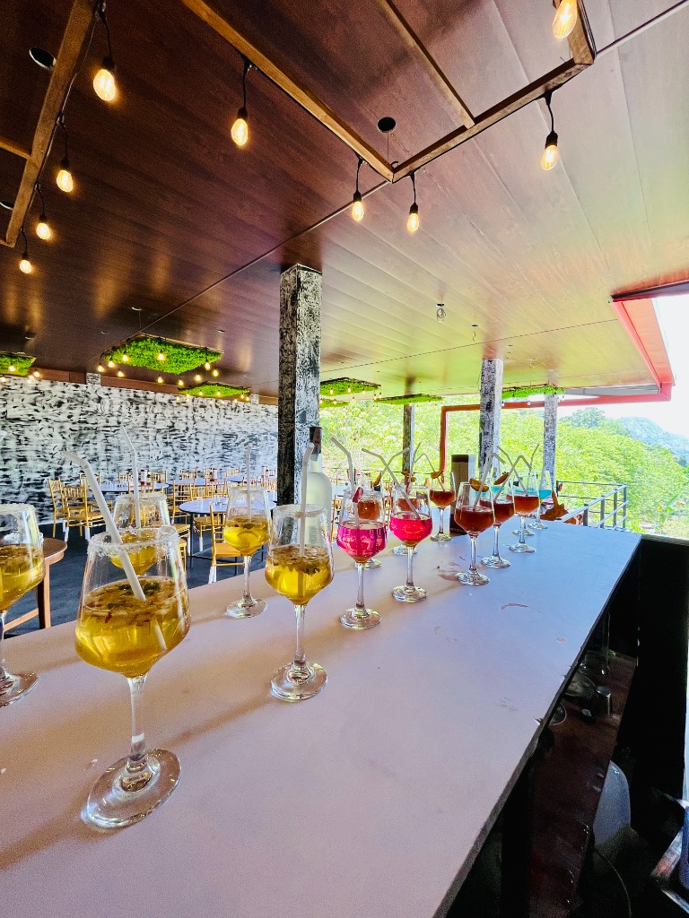 Outdoor Bar - 1